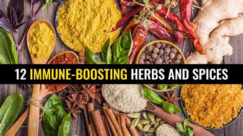 12 Immune Boosting Herbs And Spices Youtube