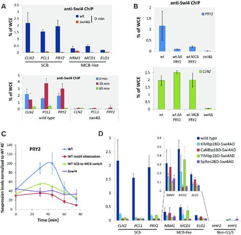 Chimeric Swi4 Tfs Bind Mcb Like Ancestral Motifs But Not Scbs Which