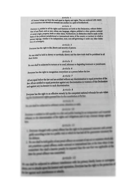 United Nations Declaration Of Human Rights Summary 9