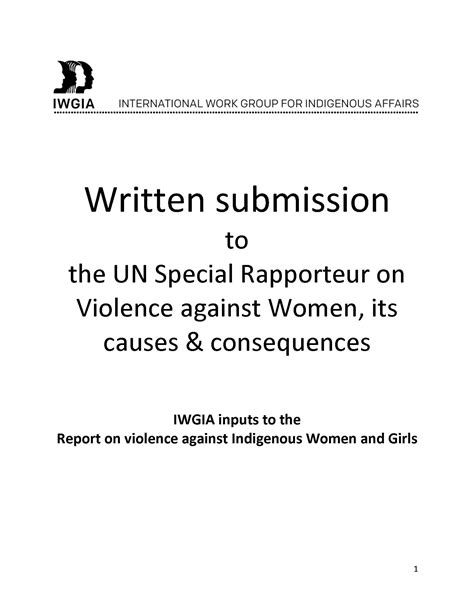 Written Submission To The Un Special Rapporteur On Violence Against