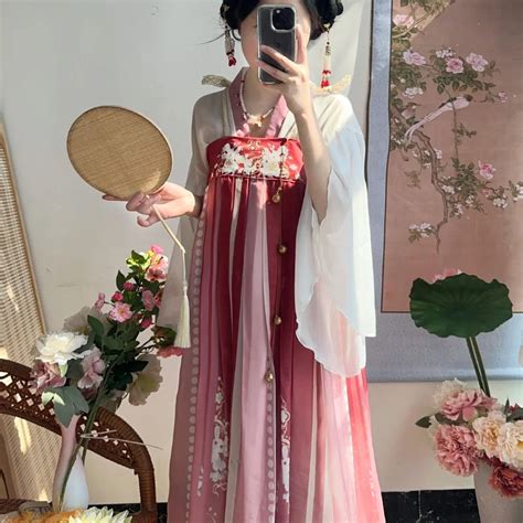 Traditionelles Hanfu Kleid Im Chinesischen Stil Set Tang Dynastie