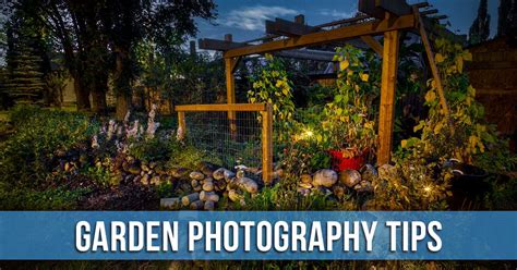 15 Creative Garden Photography Ideas Made Simple - Digital Photo Mentor