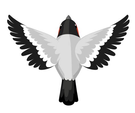 Bird Flying Top View Vector Images (over 140)