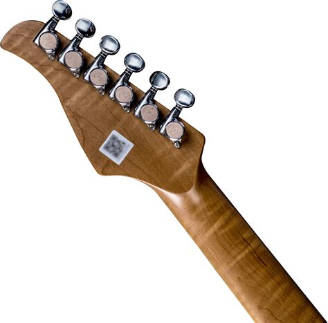 Электрогитара Mooer GTRS P801 Dark Night - купить в Москве и Санкт ...