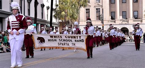 Savannah Saint Patrick S Day Parade Committee We Are Here To Promote