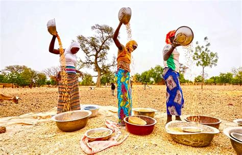 Au Sahel linsécurité alimentaire menace 18 millions de personnes La