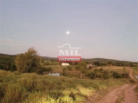 Fazenda de 52 alqueires 252 11 Hectares em Goiás Velho GO Terrenos