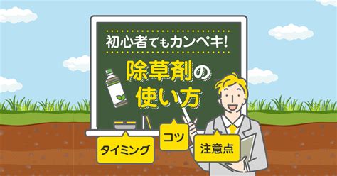 除草剤の使い方をゼロから解説！効果的な散布方法から絶対守るべき注意点まで 草刈り110番