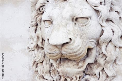 Sculpture of a medieval lion head of stone (Italy) Stock Photo | Adobe ...