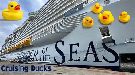 Hiding Cruising Ducks On Royal Caribbean Wonder Of The Seas YouTube