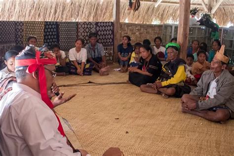 Pendirian Sekolah Adat Upaya Lestarikan Adat Marapu Di Sumba Timur