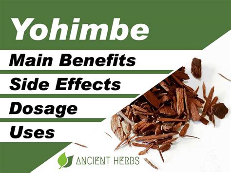 Yohimbe Benefits, Uses, Dosage & Side Effects