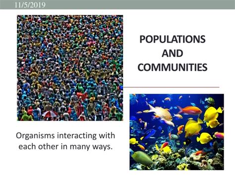 Ppt Populations And Communities Powerpoint Presentation Free