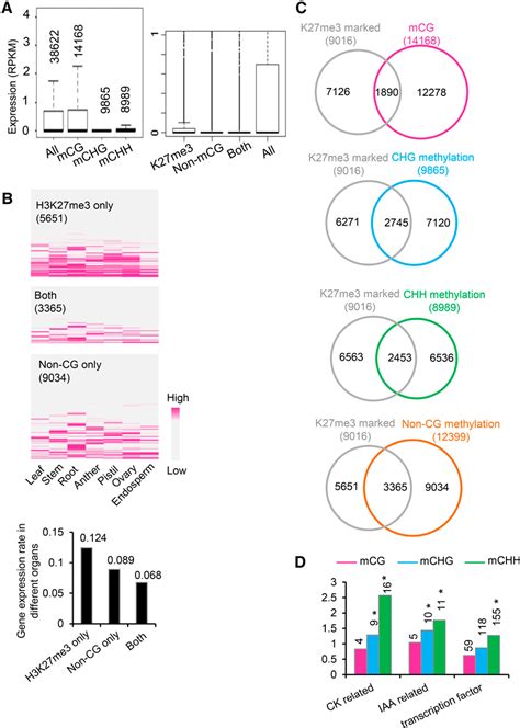 Figure From Cooperation Between The H K Me Chromatin Mark And Non