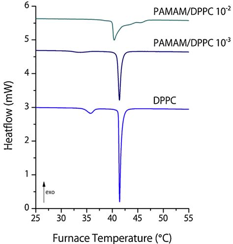 Dsc Endotherms Of Fully Hydrated Dppc Mlvs And Pamam Loaded Dppc Download Scientific Diagram