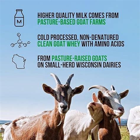 NAKED Goat Vanilla Protein Powder Pasture Fed Goat Whey Protein Powder From Small Herd Dairies