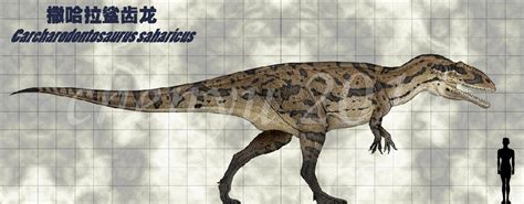 Carcharodontosaurus Pictures & Facts - The Dinosaur Database