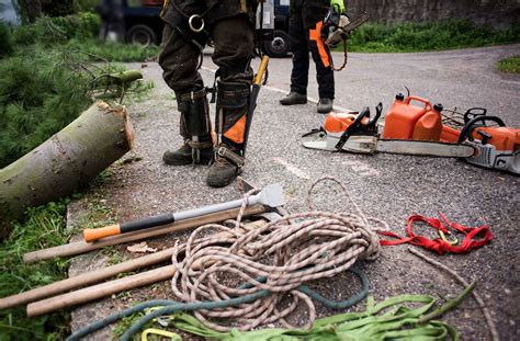 JMS Tree Cuttings | Tree Removal | Cavan | Leitrim | Longford