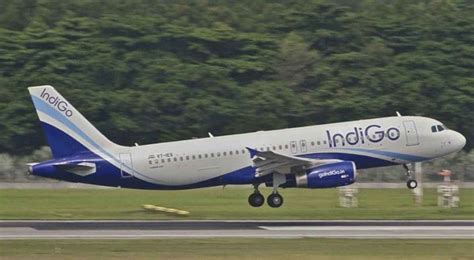 Indigo Airlines to start more services to Gulf Countries - Wellness Buddha