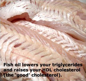 Fish Oil and Cholesterol: The Natural Benefits of Omega 3