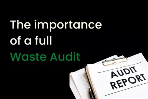 The Importance Of Conducting A Waste Audit CDDL Recycling