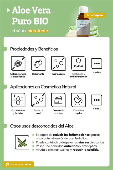 Guía Completa Beneficios Del Aloe Vera En Cosméticos Y Belleza