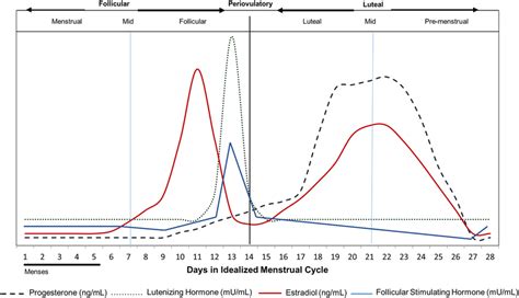 Female Hormone Cycle Chart