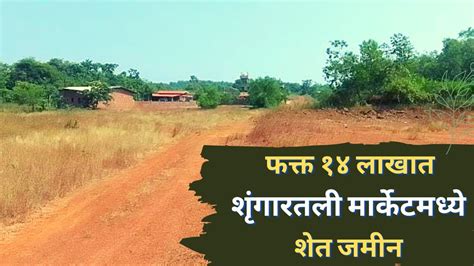 सवसत जमन ककण chipest plots kokan plot sale kokan guhagar