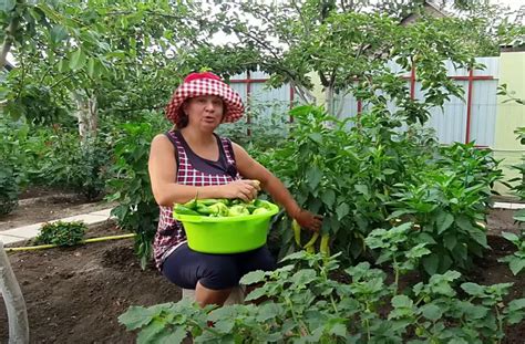 Таблица по внесению удобрений: весна, лето, осень | Вдали от города ...