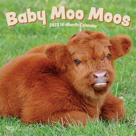 Baby Moo Moos 2023 Square Wall Calendar Browntrout