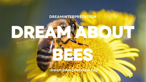 Dead Bee In The Ear Dream Interpretation Fantasies Liberating Quietude