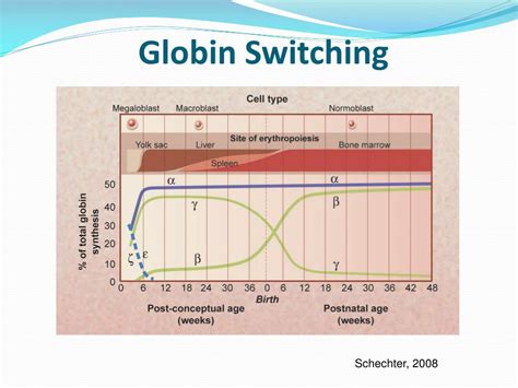 Ppt The Role Of Kr Ppel Like Factor In Erythroid Cells Powerpoint