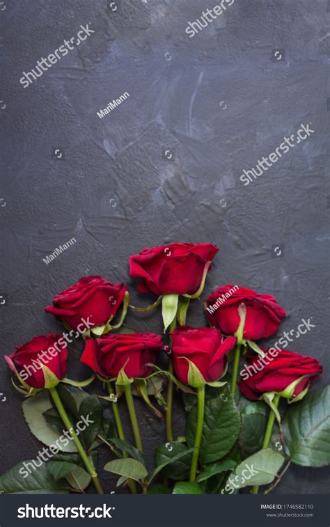 Beautiful Red Roses Symbol Love Stock Photo 1746582110 Shutterstock