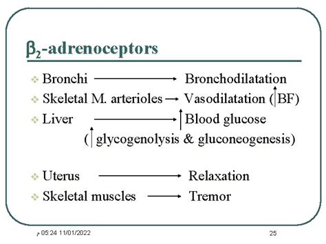 Pharmacology Of Sympathetic Nervous System Adrenergic Agonists Dr