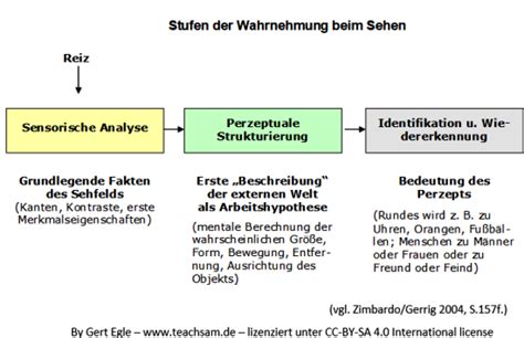 Drei Stufen Der Visuellen Wahrnehmung