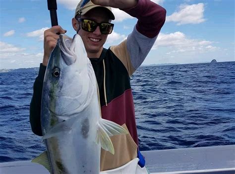 Warfish Fishing Charters Whitianga All You Need To Know Before You Go