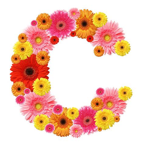 Best Flower Alphabet Letter C Stock Photos Pictures And Royalty Free