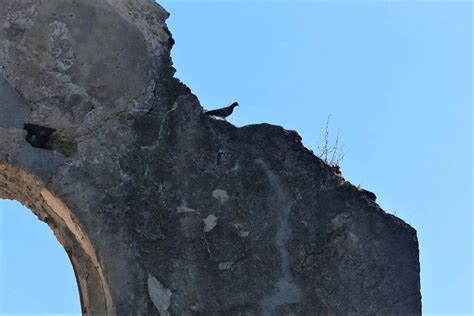 Bussana Vecchia Cosa Vedere Gusto La Bellezza