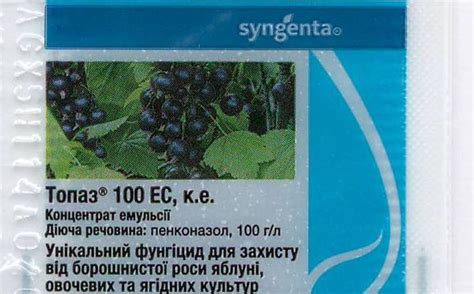 Фунгицид Топаз: инструкция по применению для винограда