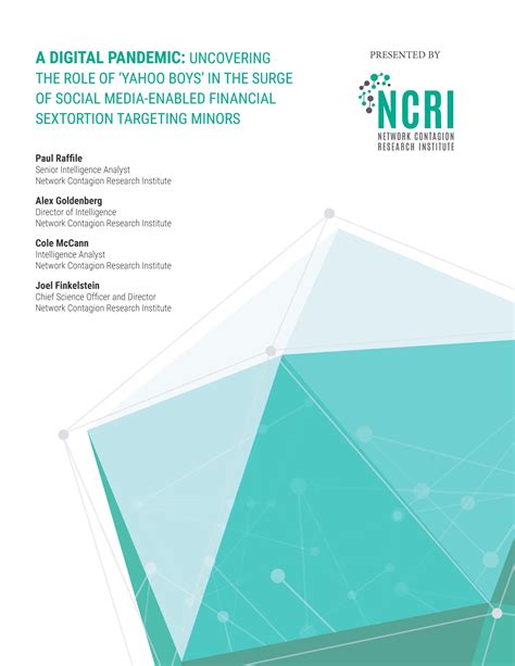 Interpol agents finally explain the network of yahoo boys 27