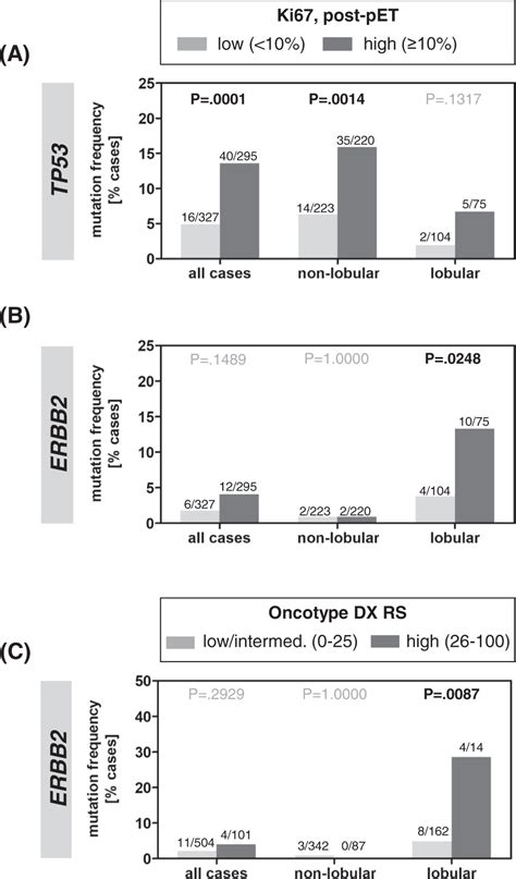 Erbb2 Mutation Is Associated With Sustained Tumor Cell Proliferation