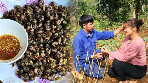 Use Trees To Make Fences Pick Snails And Make Stir Fried Snails With