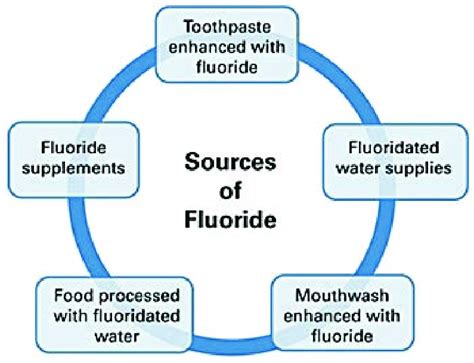 Sources of fluoride in the environment. | Download Scientific Diagram