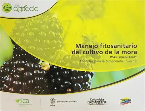 Manejo Fitosanitario Del Cultivo De La Mora Meses Sin Intereses