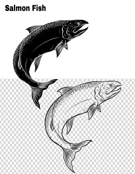 Fish vector by hand drawing. 540386 Vector Art at Vecteezy