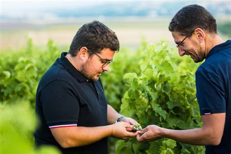 Clement & Florian Berthier - Elite Wines®