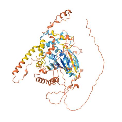 RCSB PDB AF AFC0P0R8F1 Computed Structure Model Of Triacylglycerol