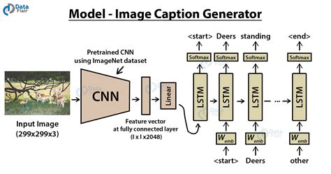 Github Dylanlam62image Captioning Image Captioning