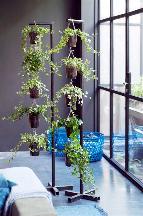 Interesantes Ideas Para Decorar Con Plantas Colgantes Dale Detalles