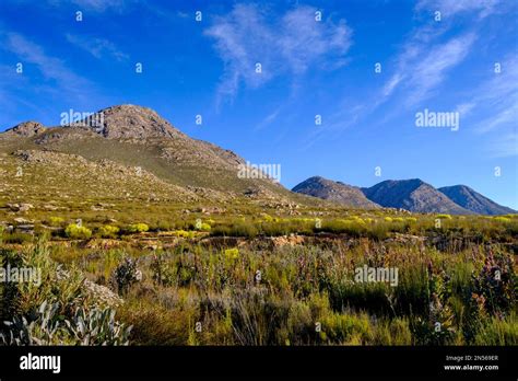 Swartberg Pass Swartberg Pass Swartberg Mountains Zwischen